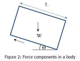 Force components in a body